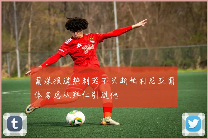葡媒报道热刺若不买断帕利尼亚葡体考虑从拜仁引进他